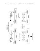 IMMUNO-AMPLIFICATION diagram and image