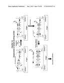 IMMUNO-AMPLIFICATION diagram and image