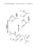 IMMUNO-AMPLIFICATION diagram and image