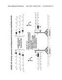 IMMUNO-AMPLIFICATION diagram and image