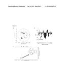 SCREENING METHOD FOR MICRO-ORGANISMS AND METHODS FOR THE PRODUCTION OF A     PRODUCT diagram and image