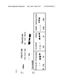 BIOMARKERS OF RESPONSE TO PROTEASOME INHIBITORS diagram and image