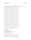 COMPOSITIONS AND METHODS FOR AMPLIFYING AND CHARACTERIZING HCV NUCLEIC     ACID diagram and image