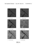 COMPRESSIVE SENSING-BASED MULTISPECTRAL VIDEO IMAGER WITH DOUBLE CHANNELS     AND IMAGING METHOD diagram and image