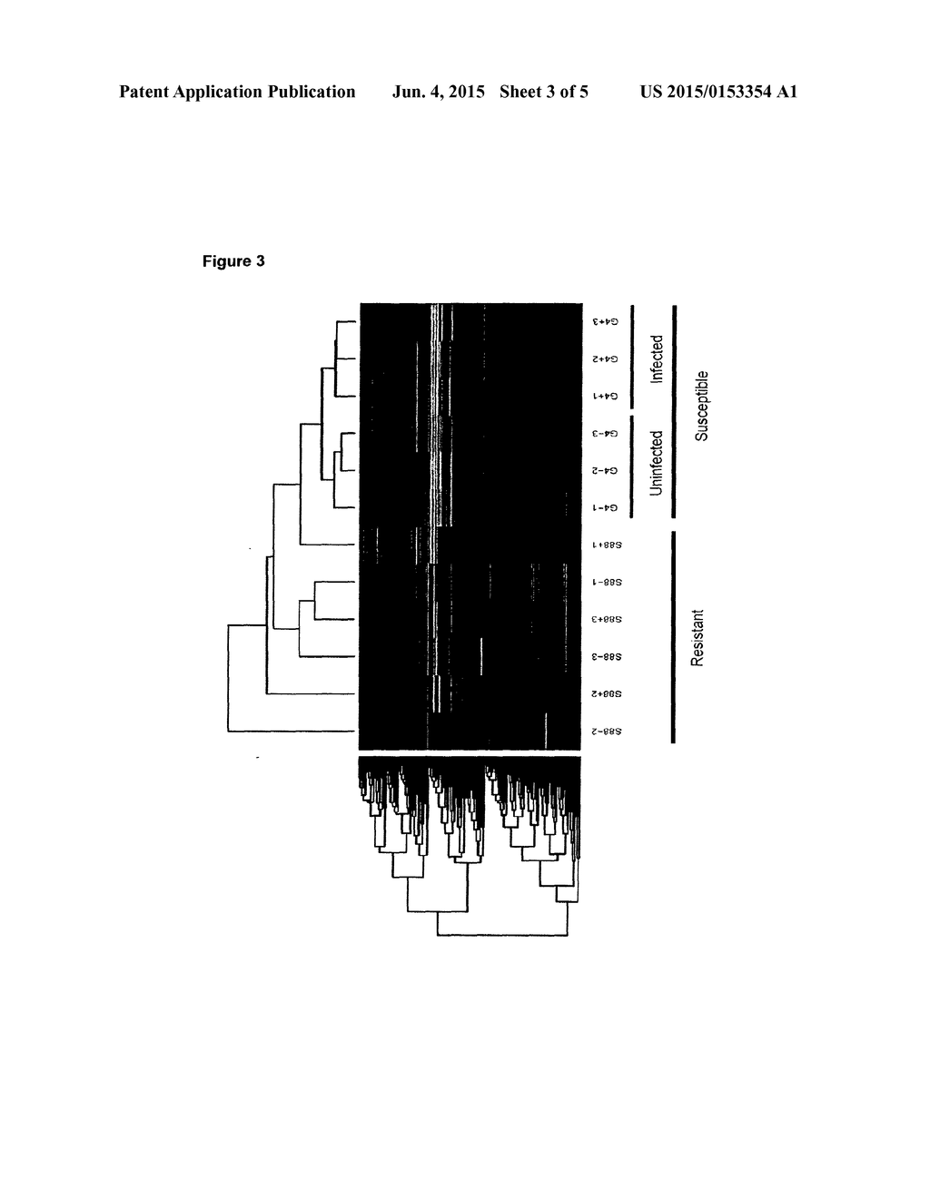 Methods and Compositions for Characterizing Phenotypes Using  Kinome     Analysis - diagram, schematic, and image 04