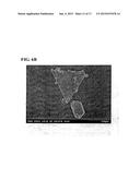 ELECTROCONDUCTIVE PARTICLE, VISIBLE LIGHT TRANSMITTING PARTICLE-DISPERSED     ELECTRICAL CONDUCTOR AND MANUFACTURING METHOD THEREOF, TRANSPARENT     ELECTROCONDUCTIVE THIN FILM AND MANUFACTURING METHOD THEREOF, TRANSPARENT     ELECTROCONDUCTIVE ARTICLE THAT USES THE SAME, AND INFRARED-SHIELDING     ARTICLE diagram and image