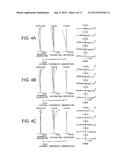 ZOOM LENS SYSTEM, OPTICAL APPARATUS AND METHOD FOR MANUFACTURING ZOOM LENS     SYSTEM diagram and image