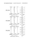 ZOOM LENS SYSTEM, OPTICAL APPARATUS AND METHOD FOR MANUFACTURING ZOOM LENS     SYSTEM diagram and image