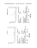 ASSAYS, METHODS AND APPARATUS FOR ASSESSING RNA DISRUPTION diagram and image