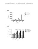 ASSAYS, METHODS AND APPARATUS FOR ASSESSING RNA DISRUPTION diagram and image