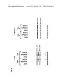 ASSAYS, METHODS AND APPARATUS FOR ASSESSING RNA DISRUPTION diagram and image