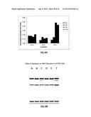 ASSAYS, METHODS AND APPARATUS FOR ASSESSING RNA DISRUPTION diagram and image