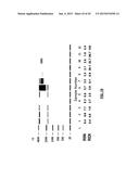 ASSAYS, METHODS AND APPARATUS FOR ASSESSING RNA DISRUPTION diagram and image