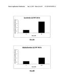 ASSAYS, METHODS AND APPARATUS FOR ASSESSING RNA DISRUPTION diagram and image