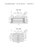 LUMINESCENT ELEMENT AND LIGHTING DEVICE USING THE SAME diagram and image