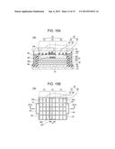 LUMINESCENT ELEMENT AND LIGHTING DEVICE USING THE SAME diagram and image