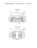 LUMINESCENT ELEMENT AND LIGHTING DEVICE USING THE SAME diagram and image