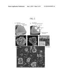 CATHODE ACTIVE MATERIAL FOR LITHIUM RECHARGEABLE BATTERY, METHOD OF     MANUFACTURING THE SAME, AND LITHIUM RECHARGEABLE BATTERY INCLUDING THE     SAME diagram and image