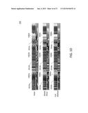 Reducing View Transitions Artifacts In Automultiscopic Displays diagram and image