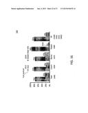 Reducing View Transitions Artifacts In Automultiscopic Displays diagram and image