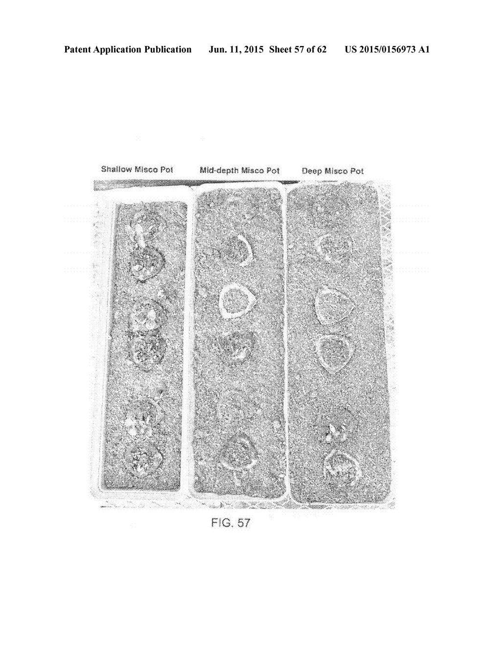 PLANT GROWING SYSTEM AND METHODS OF USING THE SAME - diagram, schematic, and image 58