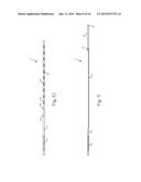 Steerable Endoluminal Punch diagram and image