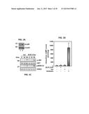 METHODS OF REGULATING CANNABINOID RECEPTOR ACTIVITY-RELATED DISORDERS AND     DISEASES diagram and image