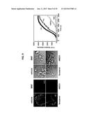 METHODS OF REGULATING CANNABINOID RECEPTOR ACTIVITY-RELATED DISORDERS AND     DISEASES diagram and image