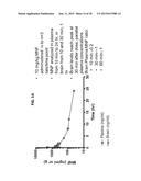 METHODS OF REGULATING CANNABINOID RECEPTOR ACTIVITY-RELATED DISORDERS AND     DISEASES diagram and image