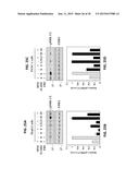 METHODS OF REGULATING CANNABINOID RECEPTOR ACTIVITY-RELATED DISORDERS AND     DISEASES diagram and image