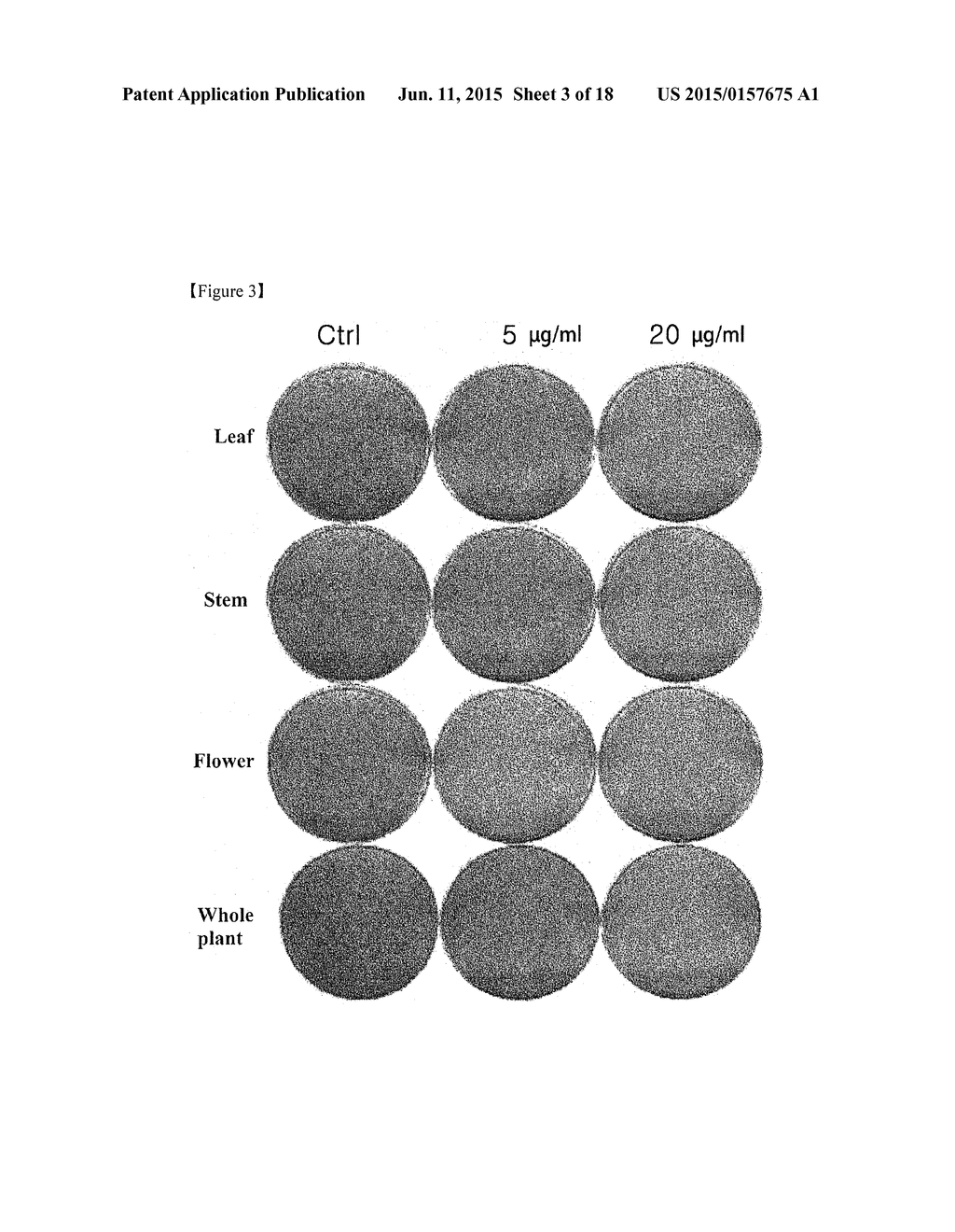 COMPOSITION COMPRISING EUPATORIUM SPP. EXTRACT AS ACTIVE INGREDIENT FOR     PREVENTING AND TREATING OBESITY AND METABOLIC BONE DISEASE - diagram, schematic, and image 04