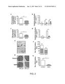 Amyloid Beta Peptides as a Therapy for Inflammation diagram and image