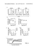 Amyloid Beta Peptides as a Therapy for Inflammation diagram and image