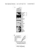 Amyloid Beta Peptides as a Therapy for Inflammation diagram and image