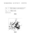 THREE-DIMENSIONAL CAVITIES OF DENDRITIC CELL IMMUNORECEPTOR (DCIR),     COMPOUNDS BINDING THERETO AND THERAPEUTIC APPLICATIONS RELATED TO     INHIBITION OF HUMAN IMMUNODEFICIENCY VIRUS TYPE-1 (HIV-1) diagram and image