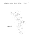 Compositions Comprising an Anti-PDGF Aptamer and a VEGF Antagonist diagram and image