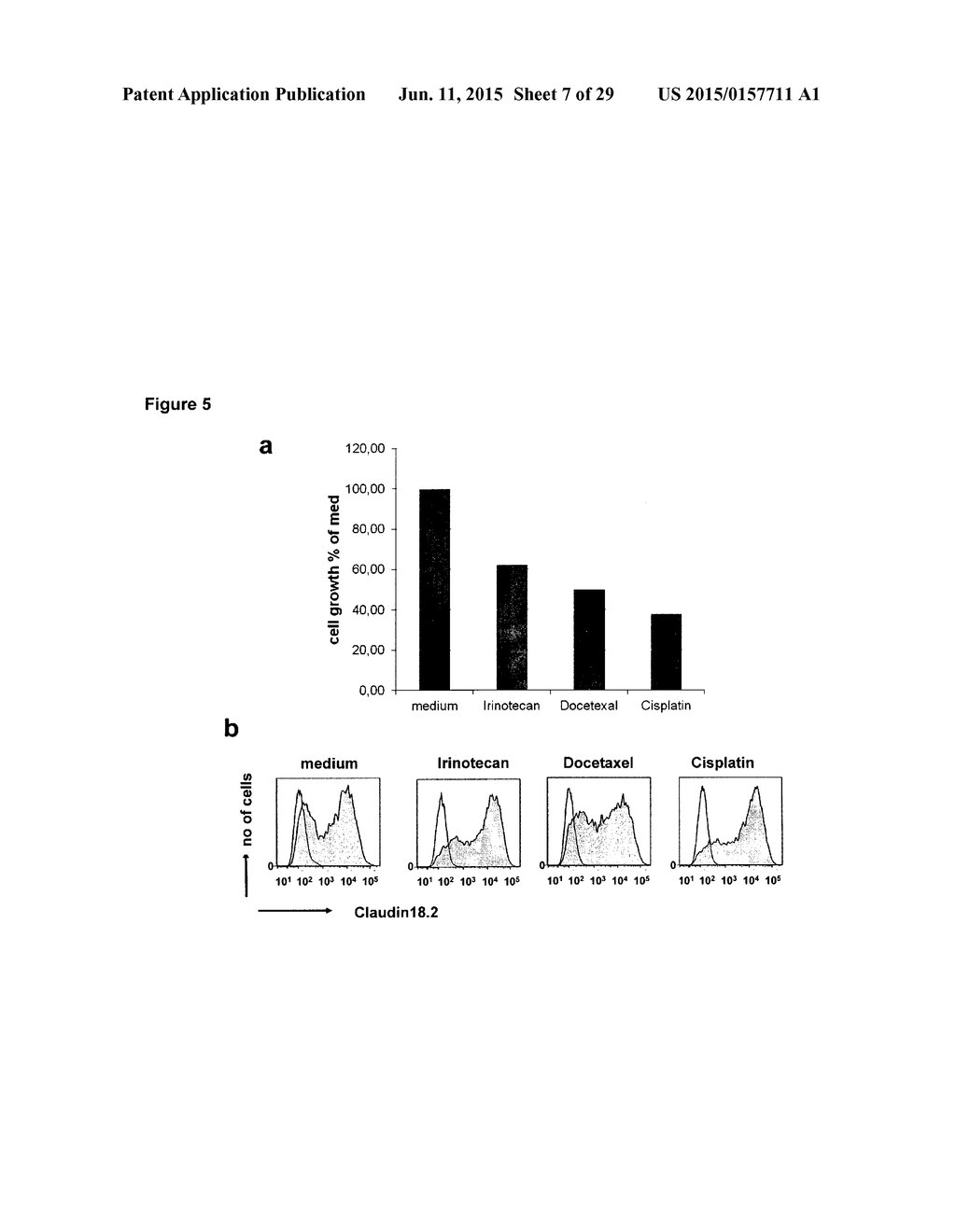 COMBINATION THERAPY INVOLVING ANTIBODIES AGAINST CLAUDIN 18.2 FOR     TREATMENT OF CANCER - diagram, schematic, and image 08