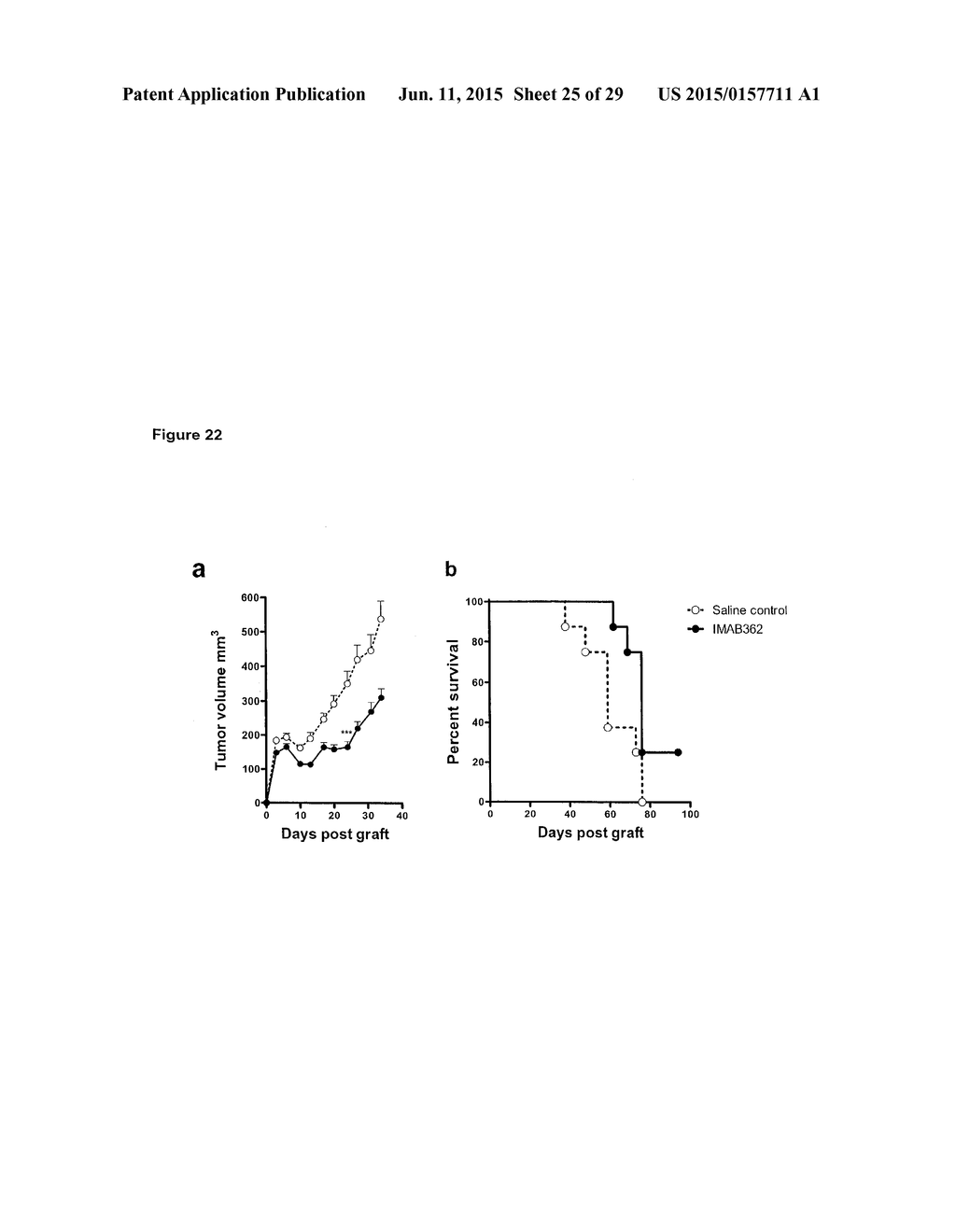 COMBINATION THERAPY INVOLVING ANTIBODIES AGAINST CLAUDIN 18.2 FOR     TREATMENT OF CANCER - diagram, schematic, and image 26