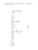 ZWITTERIONIC POLYMER BIOCONJUGATES AND RELATED METHODS diagram and image