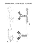 HYDRAZINYL-PYRROLO COMPOUNDS AND METHODS FOR PRODUCING A CONJUGATE diagram and image