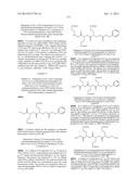 HYDRAZINYL-PYRROLO COMPOUNDS AND METHODS FOR PRODUCING A CONJUGATE diagram and image