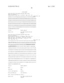 Antibodies that Bind Activatable Antibodies and Methods of Use Thereof diagram and image