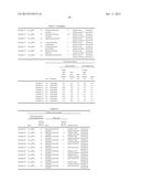 HEAT SHIELDING LAMINATION STRUCTURE diagram and image