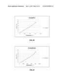 MEDIUM TEMPERATURE SOLID FUEL CELL GLASS PACKAGING MATERIAL diagram and image