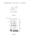 COMPOUNDS AS INHIBITOR OF DNA DOUBLE-STRAND BREAK REPAIR, METHODS AND     APPLICATIONS THEREOF diagram and image