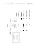 2,4-PYRIMIDINEDIAMINE COMPOUNDS AND THEIR USES diagram and image