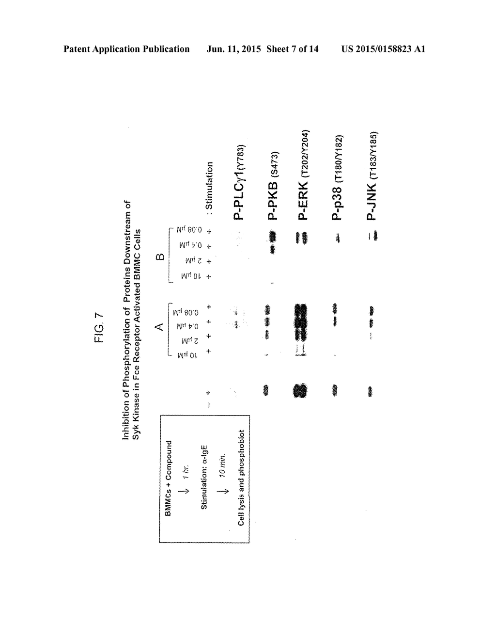 2,4-PYRIMIDINEDIAMINE COMPOUNDS AND THEIR USES - diagram, schematic, and image 08