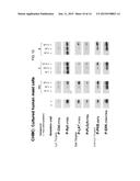 2,4-PYRIMIDINEDIAMINE COMPOUNDS AND THEIR USES diagram and image