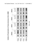 2,4-PYRIMIDINEDIAMINE COMPOUNDS AND THEIR USES diagram and image