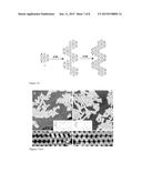 GRAPHENE NANORIBBONS WITH CONTROLLED MODIFICATIONS diagram and image